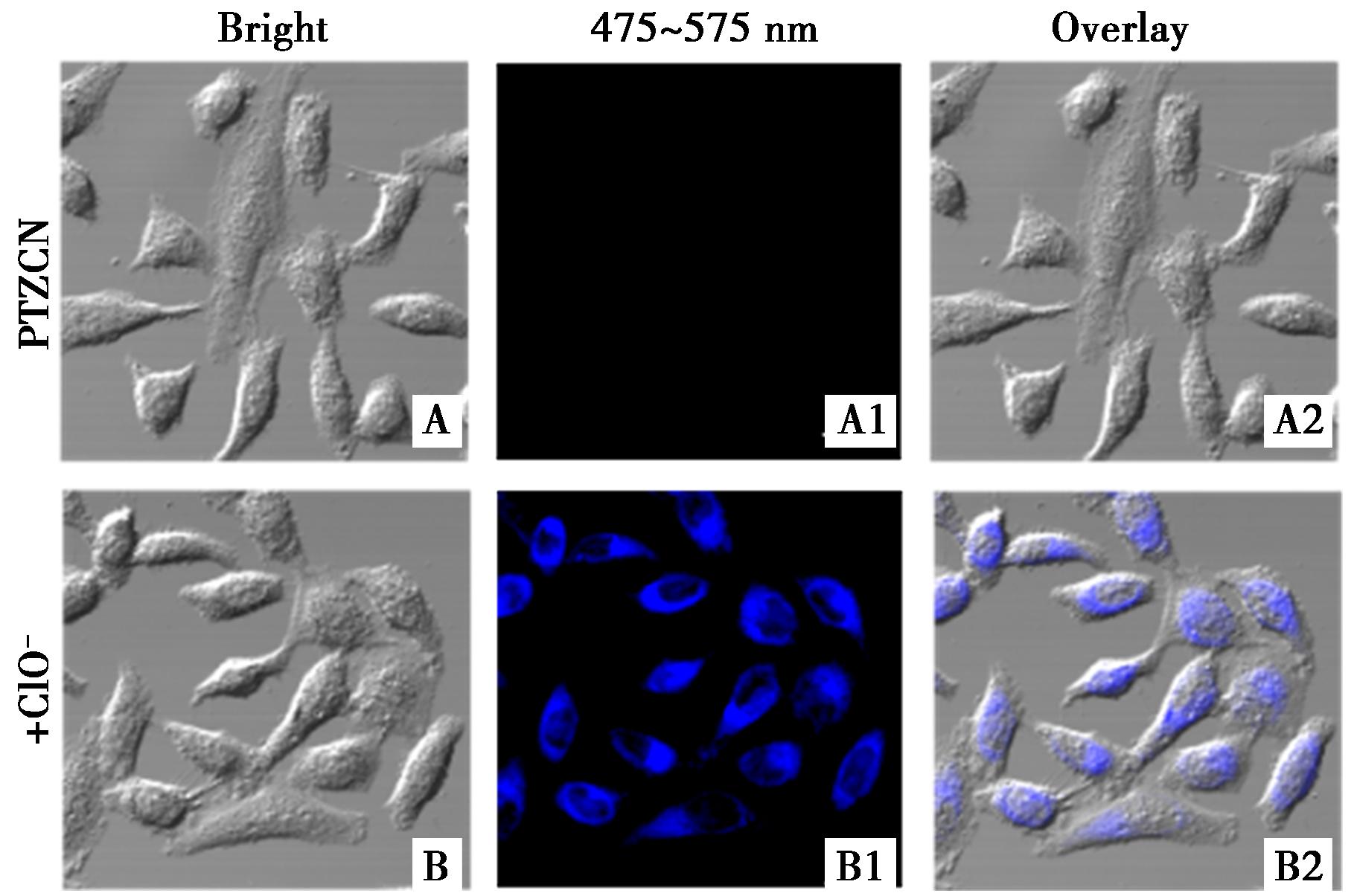 width=333,height=220,dpi=110