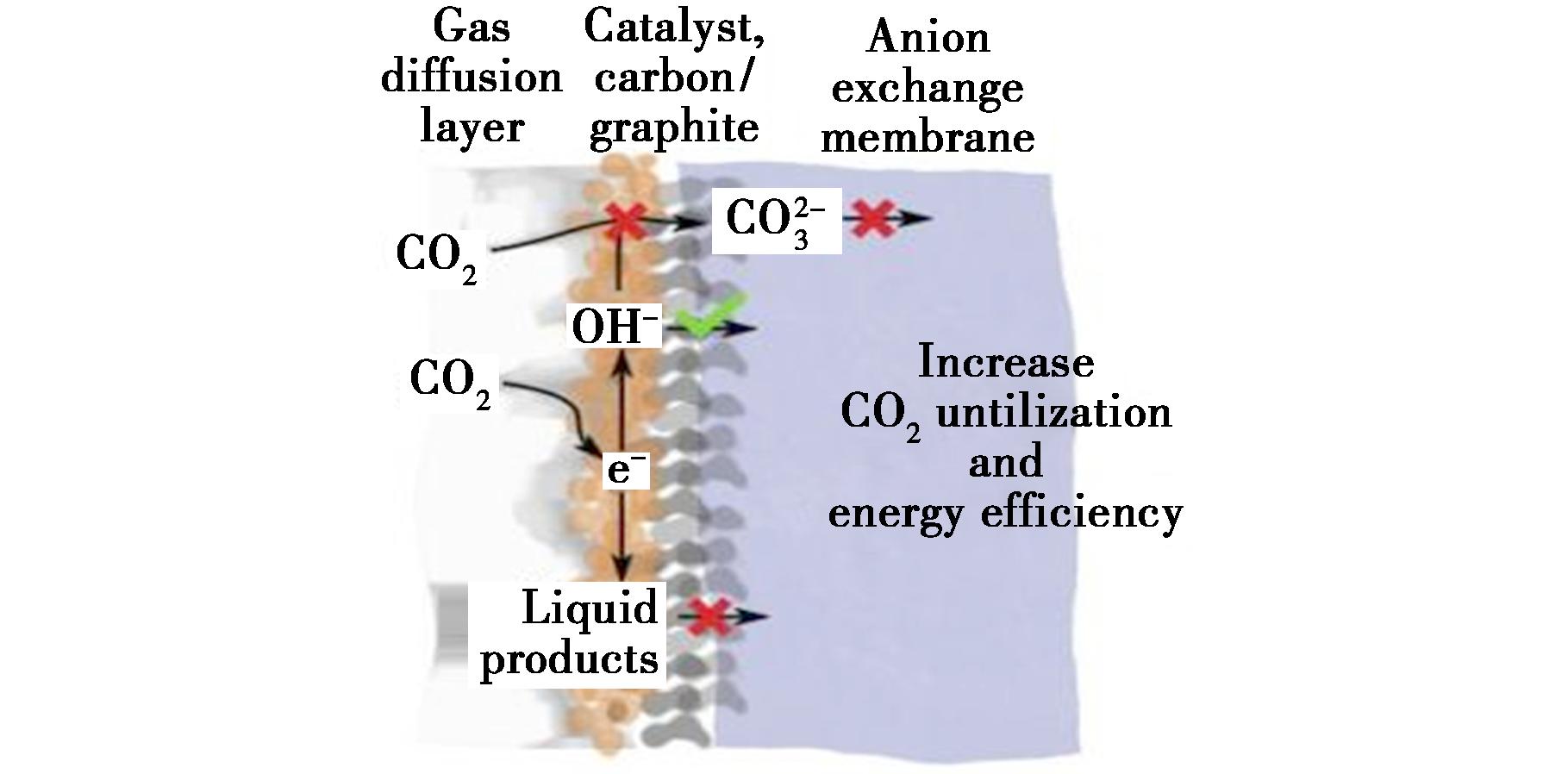 width=333,height=164,dpi=110